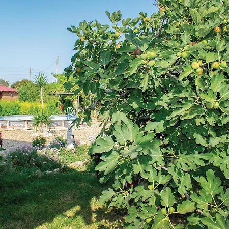One-bedroom Holiday In Krapets Крапец